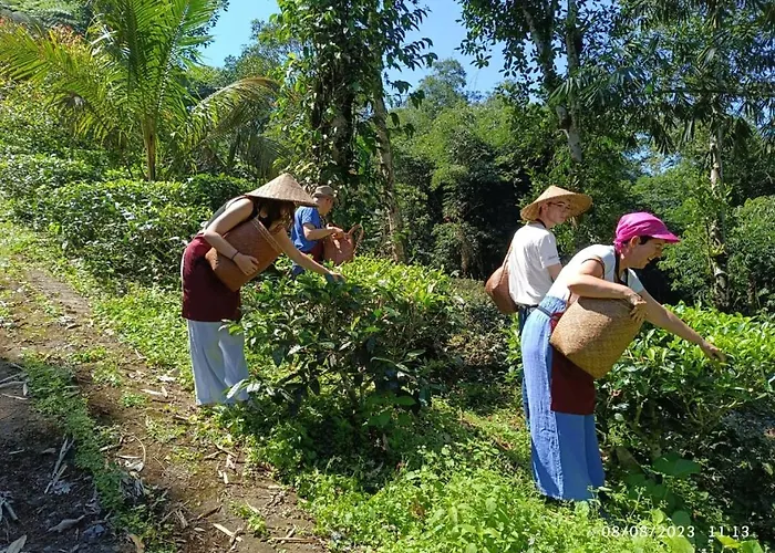 ベッド・アンド・ブレックファスト Dwan Tea Mountain Side ジャティルウィ