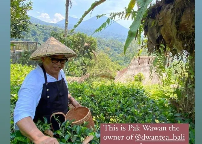 ベッド・アンド・ブレックファスト Dwan Tea Mountain Side ジャティルウィ