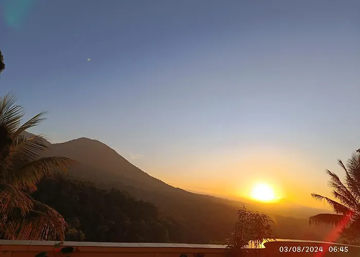 Dwan Tea Mountain Side 4*