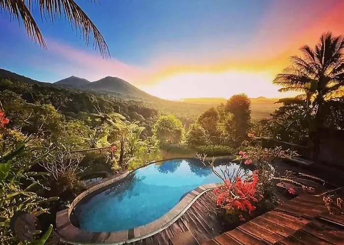 Dwan Tea Mountain Side 4*