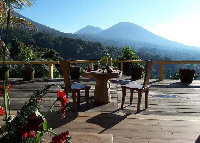 Dwan Tea Mountain Side
