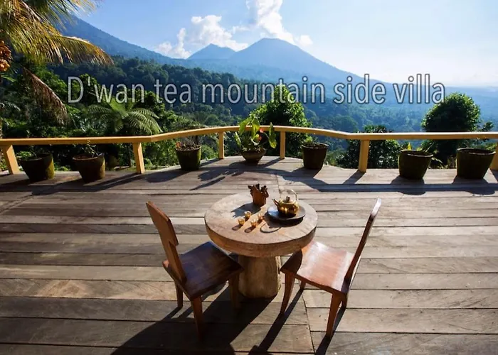 Dwan Tea Mountain Side 住宿加早餐酒店