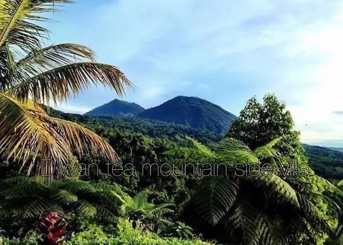 Dwan Tea Mountain Side ベッド・アンド・ブレックファスト 4*